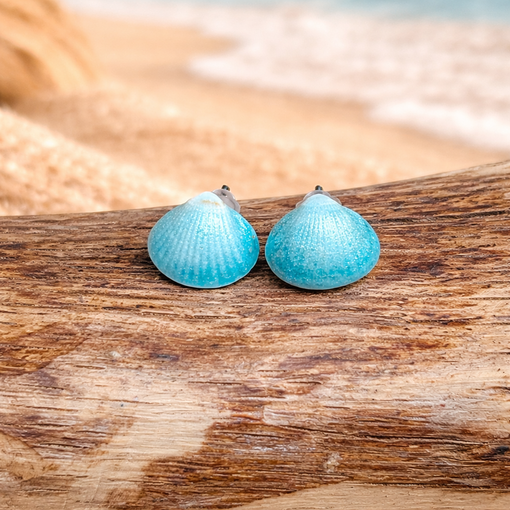 Ohrstecker Herzmuschel aus Zingst blau